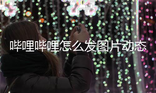 哔哩哔哩怎么发图片动态?哔哩哔哩发图片动态教程